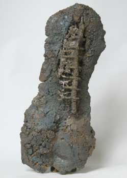 Bronze Backbone 2. Clay and Bronze, 2006. Size: 75cm high x 33cm wide
